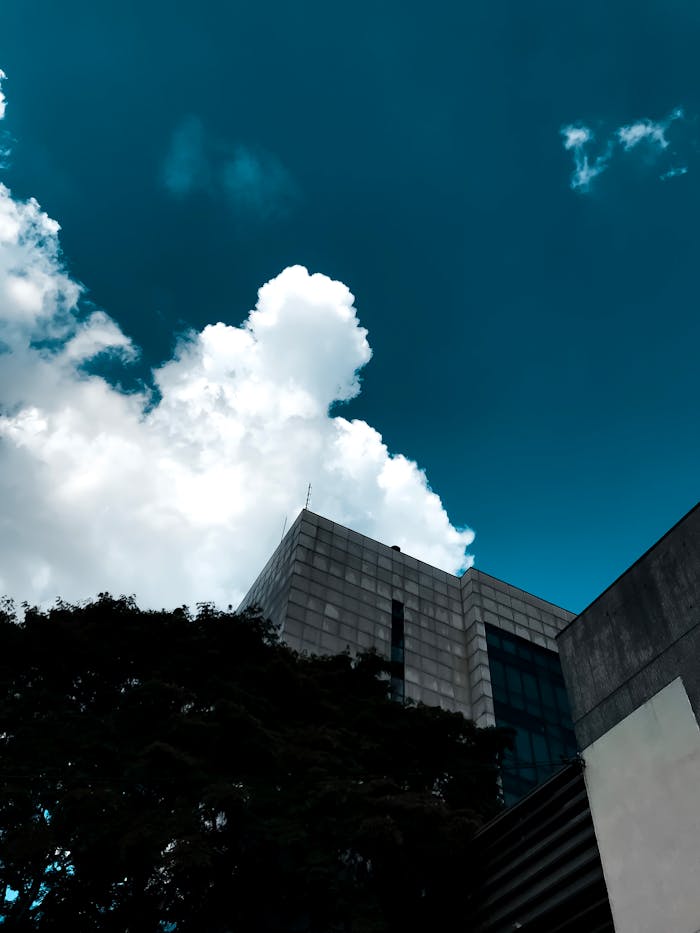 Low angle view of a modern skyscraper with lush trees and dramatic clouds.